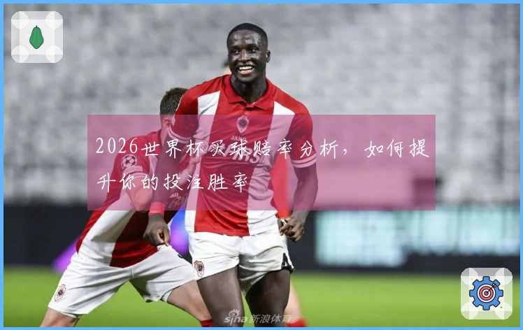 2026世界杯买球赔率分析，如何提升你的投注胜率