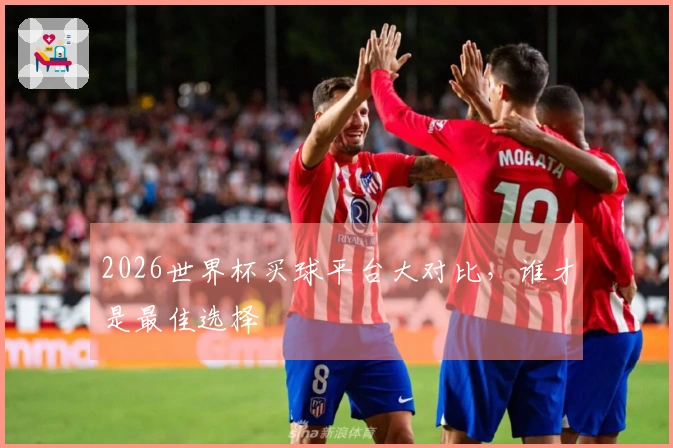 2026世界杯买球平台大对比，谁才是最佳选择