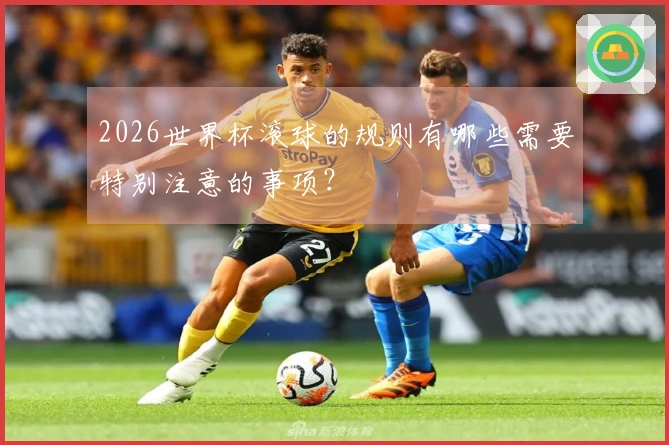 2026世界杯滚球的规则有哪些需要特别注意的事项？