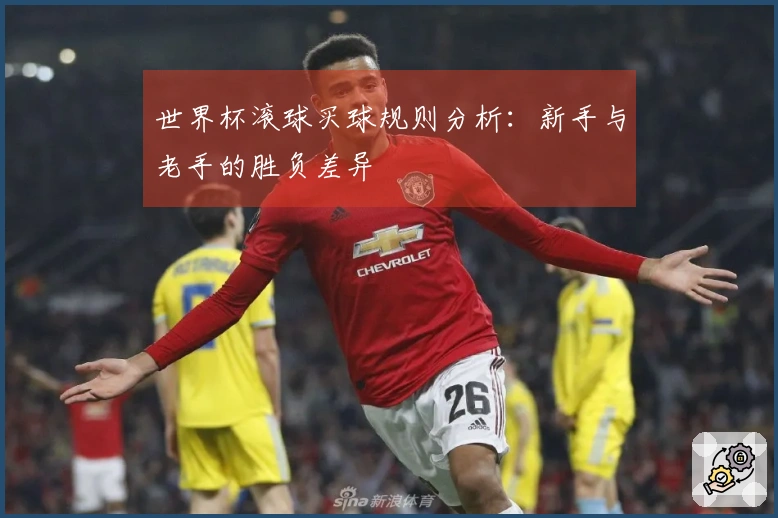 世界杯滚球买球规则分析：新手与老手的胜负差异