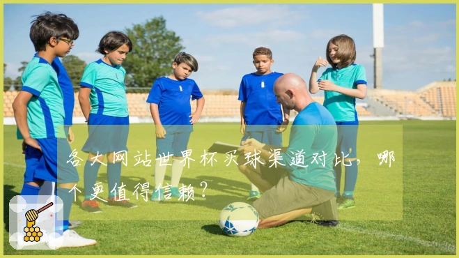 各大网站世界杯买球渠道对比，哪个更值得信赖？