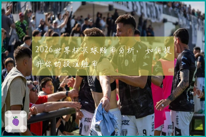 2026世界杯买球赔率分析，如何提升你的投注胜率